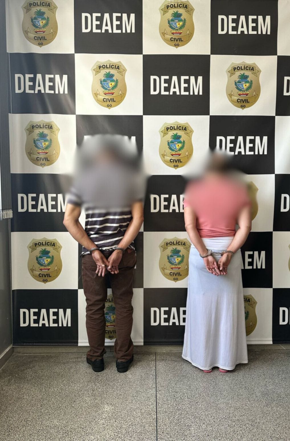 Delegacia Estadual de Atendimento Especializado à Mulher (Deaem), em Goiânia, Goiás — Foto: Divulgação/PC-GO