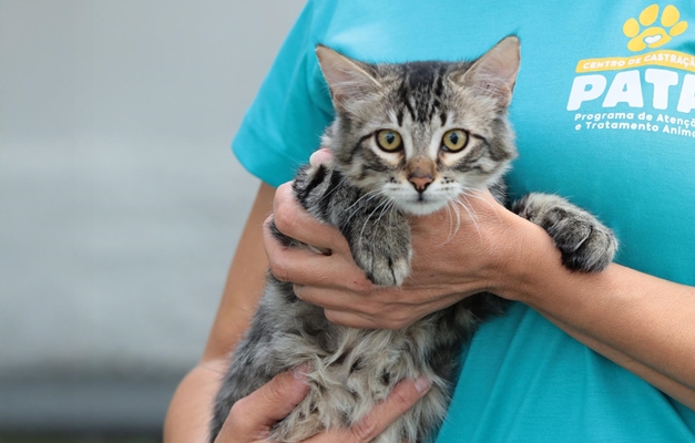 Mutirão de Aparecida terá feira de adoção de animais e triagem para castração de pets neste sábado (28)